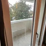 Il Nido D'oro *